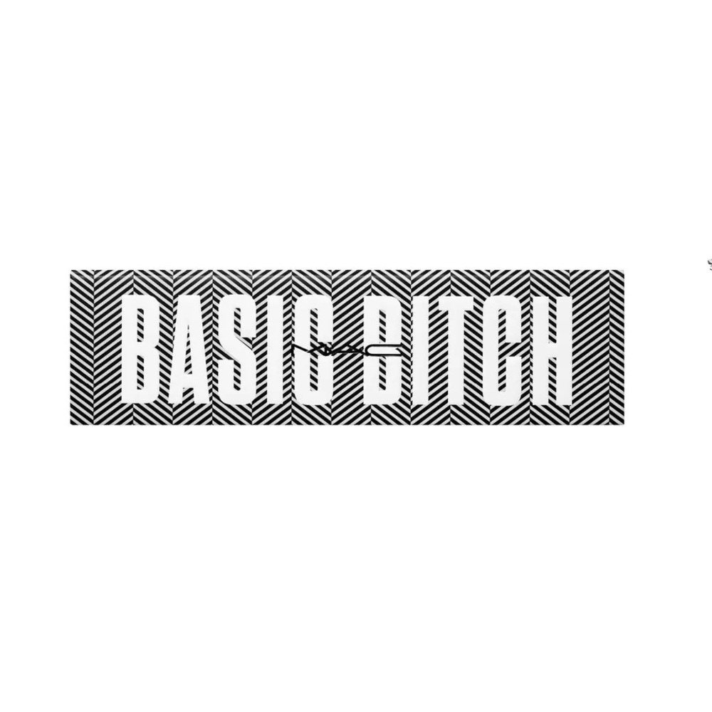 Basic B*tch MAC eyeshadow palette unused